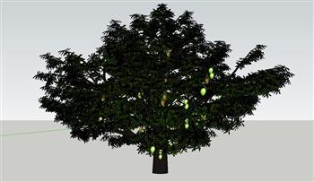 芒果树树SU模型