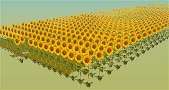 2D向日葵植物SU模型
