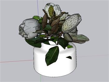 花盆植物盆景SU模型