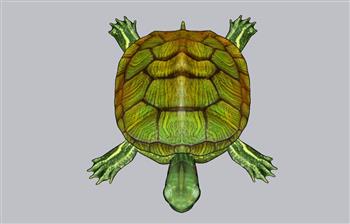 乌龟巴西龟宠物龟SU模型