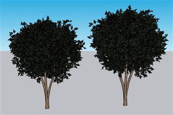 乔木树木树SU模型