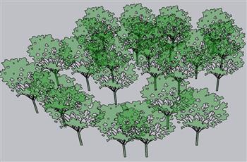 2D树配景SU模型