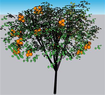 树木果树SU模型