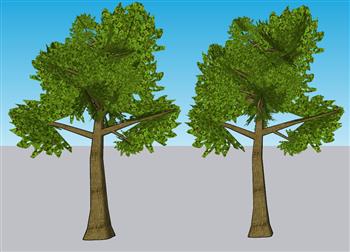 树木配景su免费模型(ID34076)