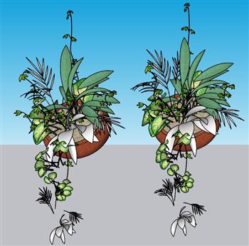 吊篮植物花盆SU模型
