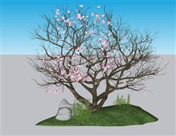 桃花树景观SU模型