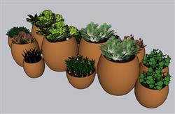 陶罐花盆植物SU模型