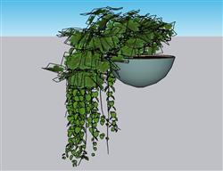 吊篮植物花盆SU模型