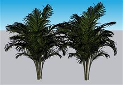 植物树木SU模型