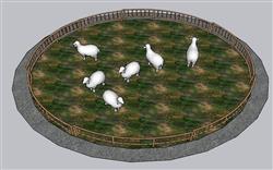羊圈牲畜农场SU模型
