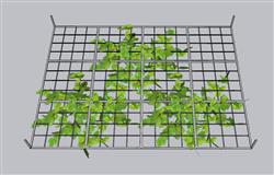 植物吊顶花架草图模型(ID40562)
