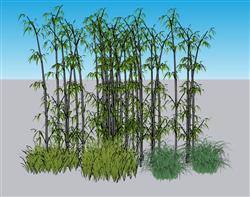 竹子竹堆小草su植物素材草图模型(ID52196)