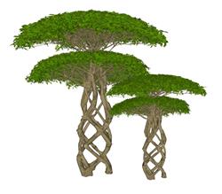 园艺景观树SU模型