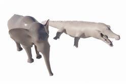 su大象鳄鱼模型(ID91291)