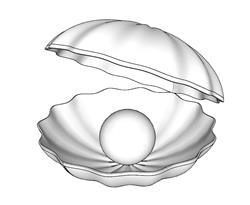 珍珠蚌壳SU模型