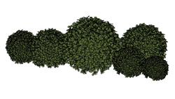 球形灌木草丛su模型(ID92904)