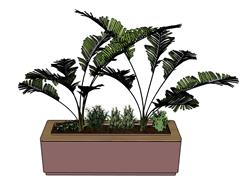 花箱植物免费SU模型(ID93974)