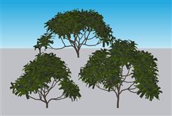 灌木矮树SU模型(ID95762)