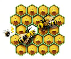 蜜蜂蜂巢SU模型