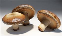 蘑菇SU模型