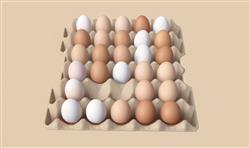 鸡蛋SU模型