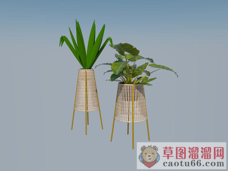 藤制室内盆栽植物SU模型分享作者是【淡淡的味道】