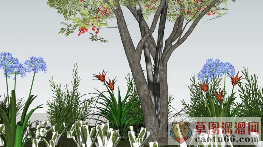 景观灌木植物SU模型分享作者是【De Ja Vu 】