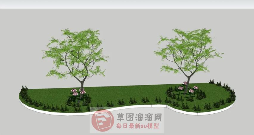 花园植物树SU模型分享作者是【菜鸟】