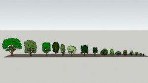 物树2D树植物树SU模型