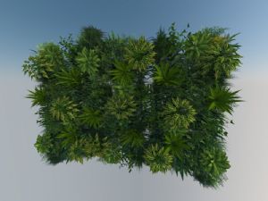 绿植墙墙上植物植物SU模型