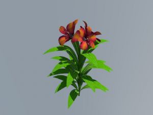 百合花植物SU模型