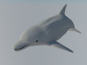海豚SU模型