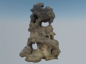 珊瑚石景观石石头SU模型