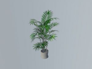 盆栽景观棕榈树SU模型
