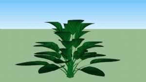 灌木绿色植物SU模型