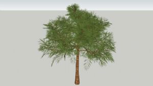 3D精美树木SU模型