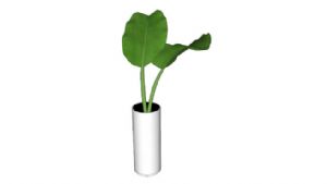 小花瓶植物免SU模型