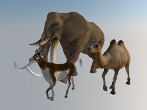 大象猛犸象骆SU模型