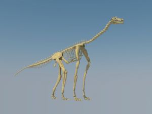 恐龙骨架化石SU模型
