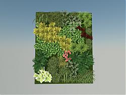 垂直绿化绿植墙植物墙SU模型