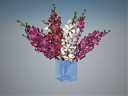 方形玻璃花瓶SU模型