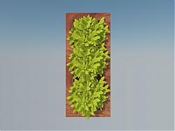 绿植墙垂直绿化墙饰植物SU模型