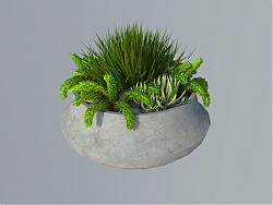 石质花盆植物SU模型