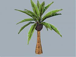 粽椰树SU模型