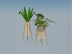 藤制室内盆栽植物SU模型