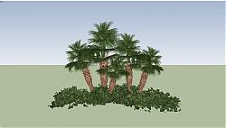 椰树植物SU模型