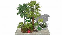 热带植物灌木SU模型