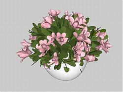 花盆植物鲜花SU模型