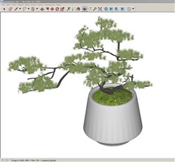 盆景盆栽的sketchup模型