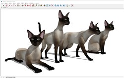 暹罗猫动物的sketchup模型